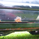 Illustration for article titled Heres Whats Wrong With My $500 Low-Mileage Jeep Cherokee